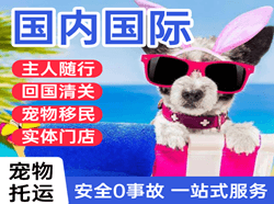 库车龟兹机场快递国际宠物托运 【国
